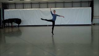 Duncan Lyle - Sleeping Beauty Variation