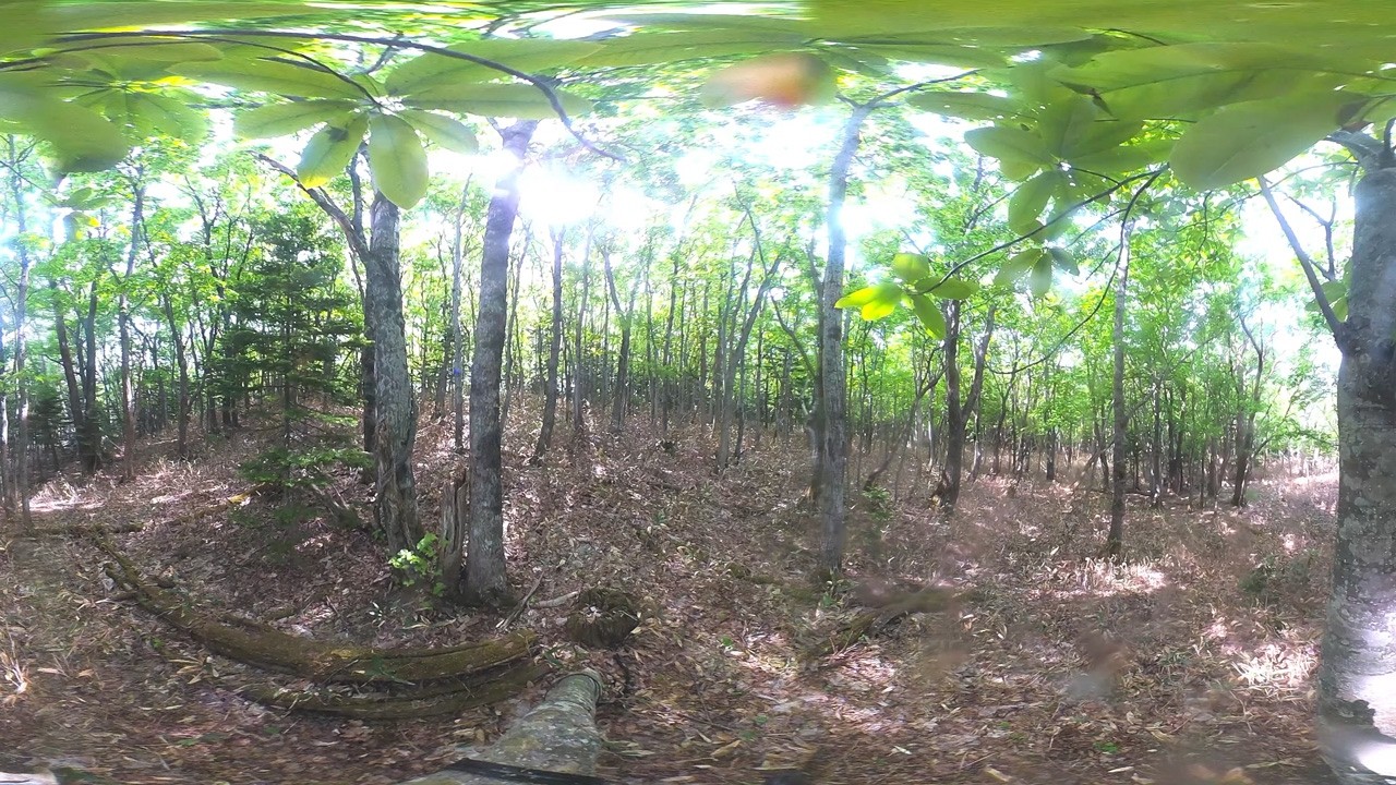 Live webcam view of Shiretoko 360 Boreal Forest View
