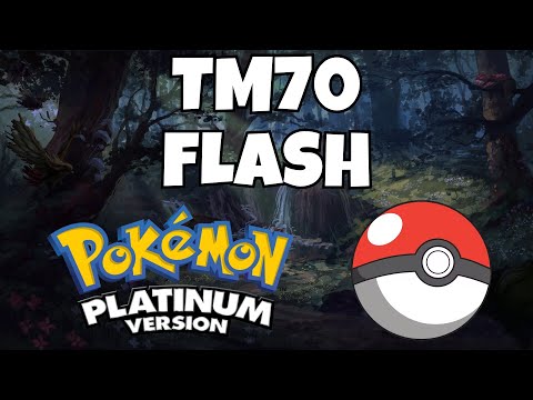 How To Find TM70 Flash In Pokemon Platinum | Pokemon Platinum Tutorial