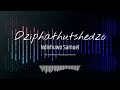 Dziphathutshedzo Dzenedzi Song Cover