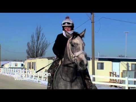 2016 | Backstretch Opening