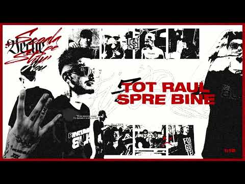 Raul WS - TOT RAUL SPRE BINE