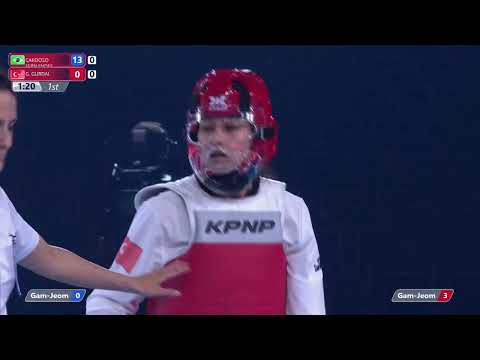 PARA - 228 F  BRA CARDOSO FERNANDES TUR GURDAL G