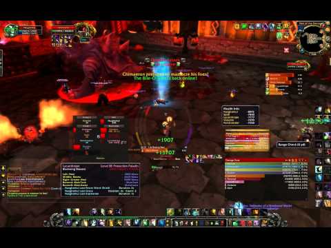 Singularity vs Heroic Chimaeron - Holy Priest PoV