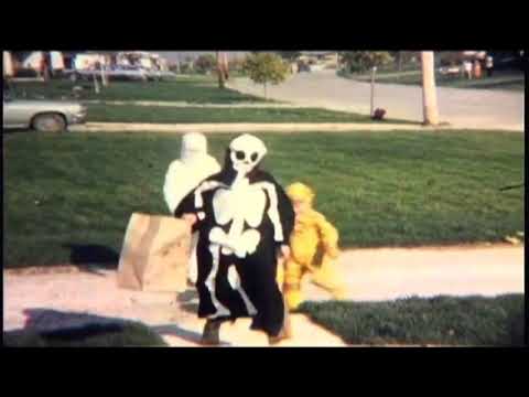 PLASTIC FLOWERS/Drive Me Home