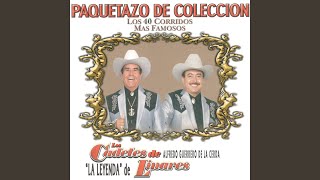 El muchacho y el potro