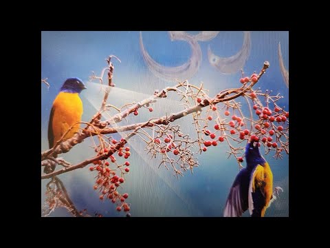 2023 09 18 Mundak Upanishad Mantra 1.1.5