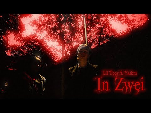 Lil Tees feat. Youareslowlykillingme - "In Zwei"
