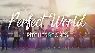 Perfect World - Pitches & Tones (Official Music Video)