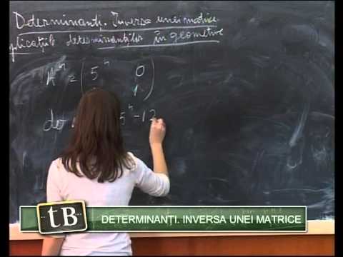 TeleBAC Matematica - Determinanti by Petre Ciungu