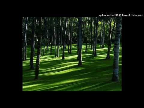 Sr. SYLVANIE PIERRE LOUIS  / Kote plas pa-w