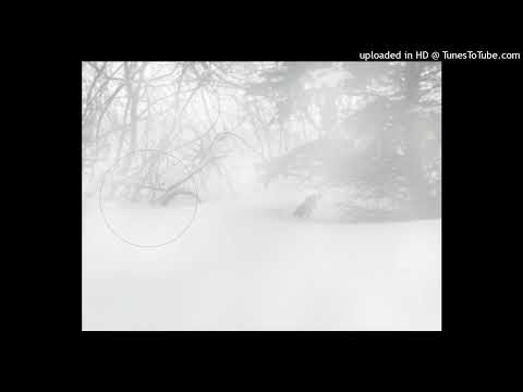 [FREE] Vinso x Redpriest x 3ds x Shinjin type beat "Snowstorm" prod. robots914