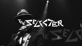 The Selecter - DAYLIGHT - Out Now
