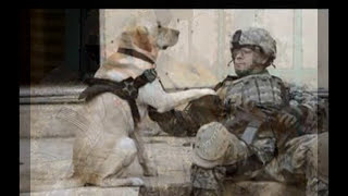 'Dogs Of War' Tribute