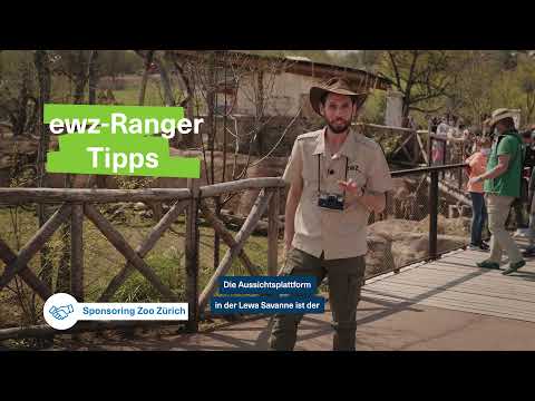 #ewzRangerTipps - Fotosafari
