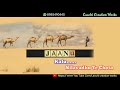 Gali Vatam Laga Jaanu Movie Song Whatsapp Status Lyrics Song