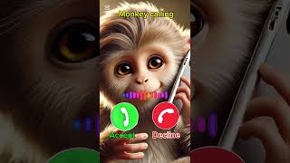 Download lagu Monkey #calling #iphone #ringtone#iPhoneRingtone#TrendingSound#ViralRingtone#RingtoneRemix mp3 Download lagu Monkey #calling #iphone #ringtone#iPhoneRingtone#TrendingSound#ViralRingtone#RingtoneRemix mp3