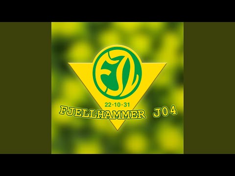 Fjellhammer J04
