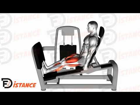 Exercice Élévations de mollets à la presse à cuisse horizontale