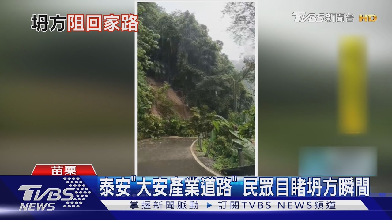 泰安象鼻部落驚傳百米坍方!綠色山坡遭撕裂 樹木土石瞬間滑落