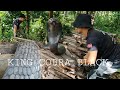 COBRA PRINCE NAPA TAKBO SA BLACK KING COBRA