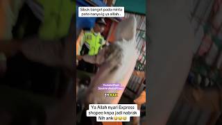 Download lagu There are always #viralvideo #shortvideo #natureexploration #singlemom #mamisarahardhelia incidents mp3