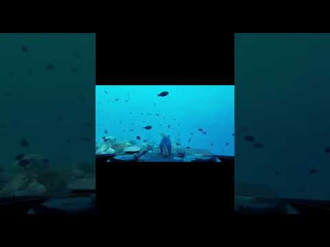 Nihanda Wuye ( Cover)