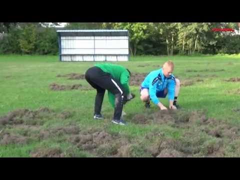 PROBLEM Z DZIKAMI W SZCZEPANOWIE