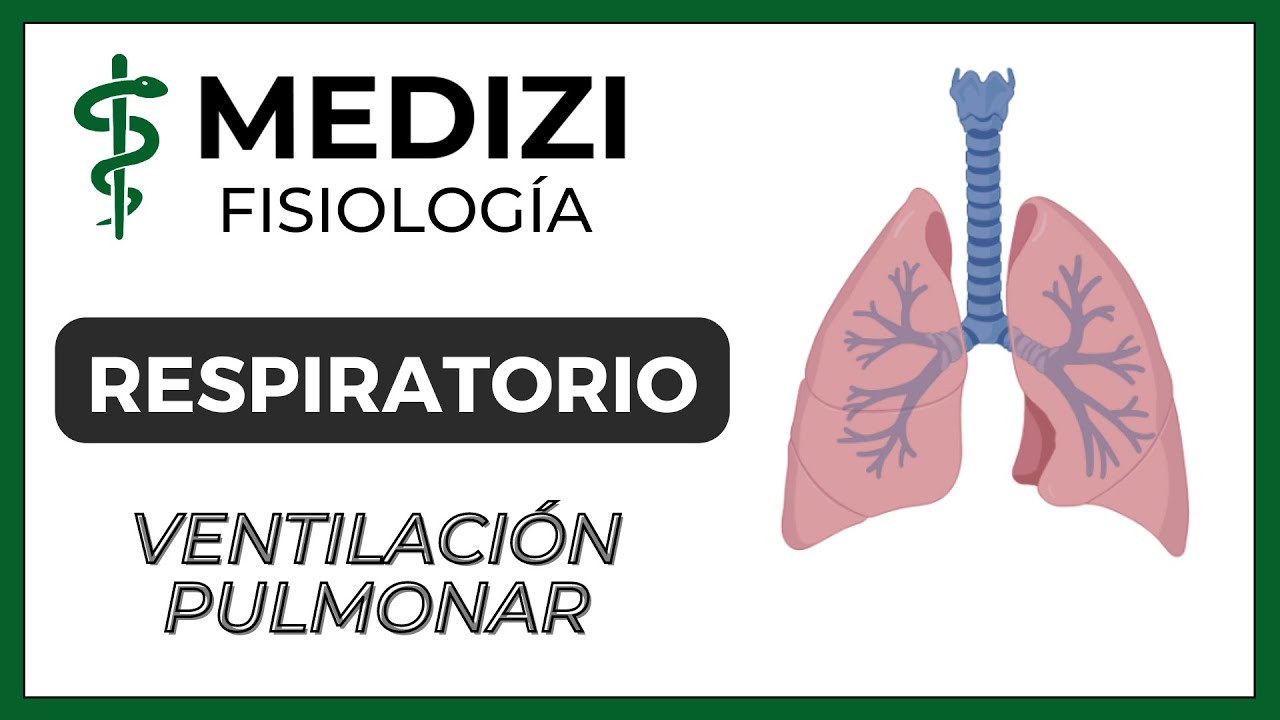 Clase 37 Fisiología Respiratoria - Ventilación Pulmonar  (IG:@doctor.paiva)