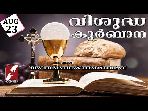 HOLY MASS LIVE @ 6 AM, 23-AUG-2025|FR MATHEW THADATHIL VC|MALAYALAM QURBANA|TODAY MASS|GOODNESS TV