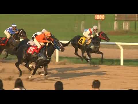 02/09/2017 – Hipodromo Paysandu – Carr 9 – VILLA TAMBORES