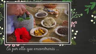 Medicina Natural y Productos Naturales