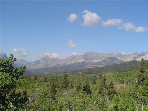 Eileen Rodgers -  I'd Climb The Highest Mountain