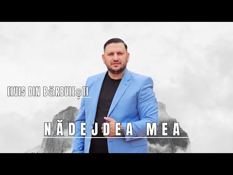 Elvis din Barbulesti - NADEJDEA MEA E IN BUNATATEA TA