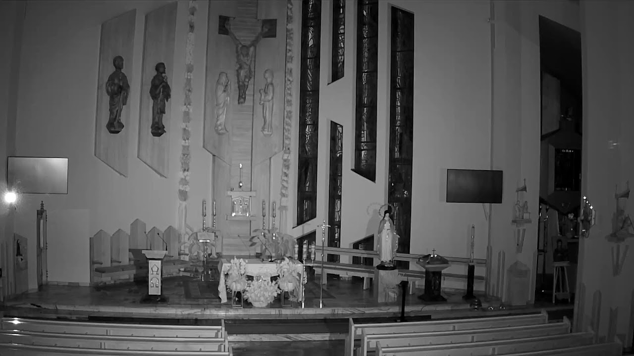 Live webcam view of Altar of Sts. Peter and Paul