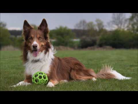 Intensive Hoopers Training|Saša Křivohlavá|23.4.2017