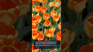 Download lagu 10 destinasi wisata Turki terpopuler #shorts #türkiye mp3 Download lagu 10 destinasi wisata Turki terpopuler #shorts #türkiye mp3