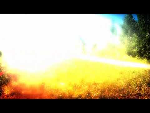 ERC 26 Rajd  Rzeszowski 2017