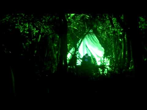 Necropsycho -  Floresta Amazônica