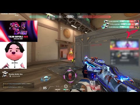 TLN Primmie's Aim in 14 Minutes