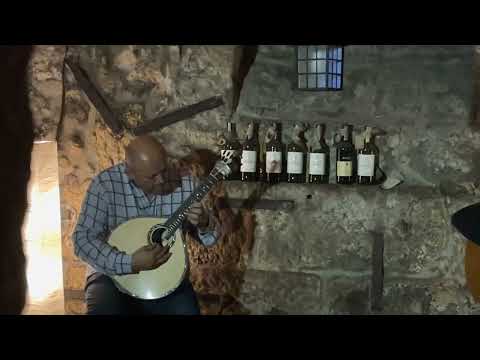 Fado live at A casa do fado, Porto, Portugal 🇵🇹 3-26-2023 #fado #porto #portugal