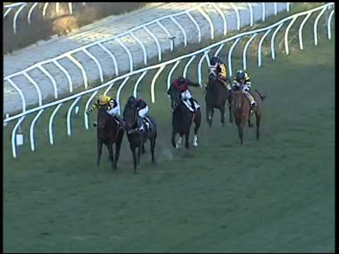 Galoppo 02/01/2015 - 3° corsa