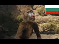 Mufasa The Lion King We Go Together Bulgarian