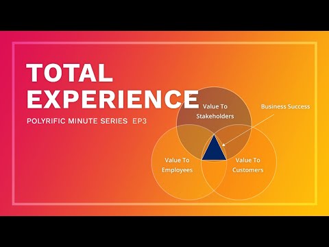 What does "Total Experience" mean for software?