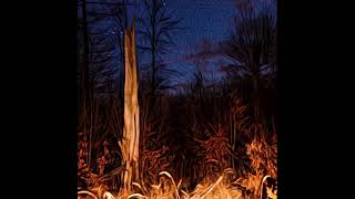 Noctem Vulpes - Gathering beneath the Full Moon (Acoustic Ambient/ Drone/ Bowed Guitar)