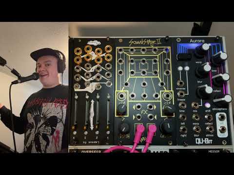 Rambling About: Worng Electronics SoundStage II with Tafony