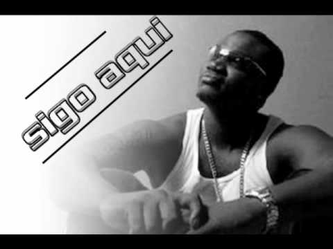 MR.FOX - SIGO AQUI   ( multi studio) 2011