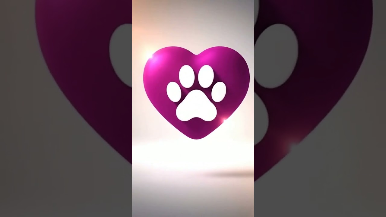 Cachorro raça SRD-ViraLata idade 2 a 6 meses nome Lalinha