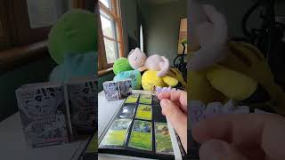 Let's expand our White Flare set! We still have a long way to go. #pokemonchannel #pokemoncollection