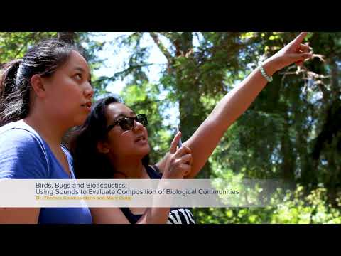 First-Year Seminars - Course-based Undergraduate Research Experience (CURE)